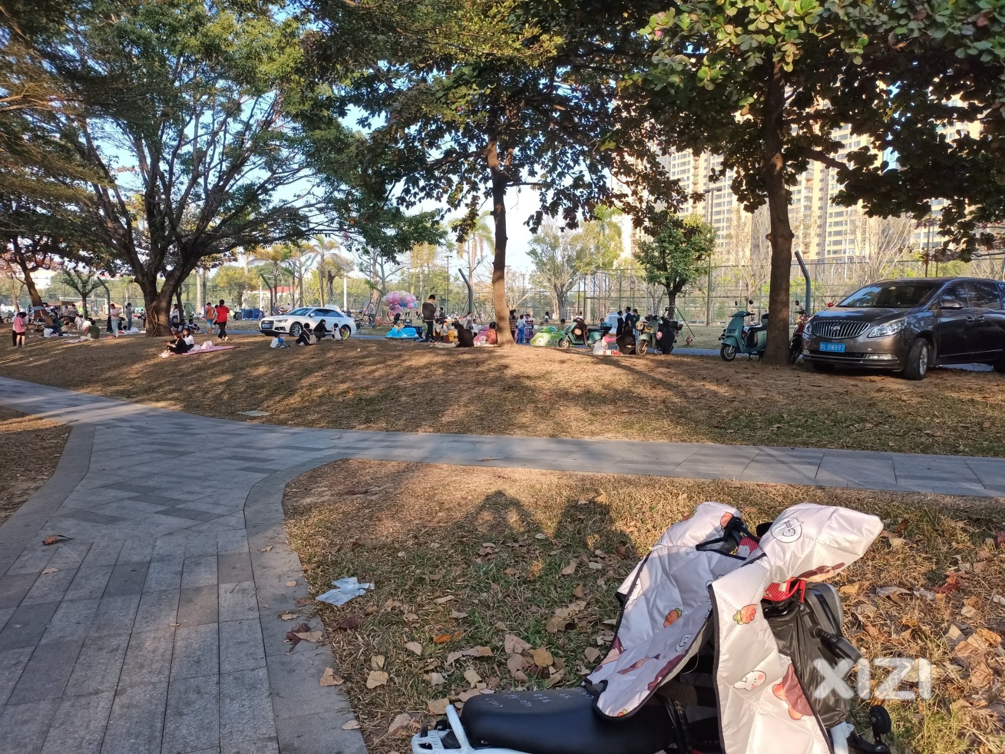 半岛公园沦落到这样了
