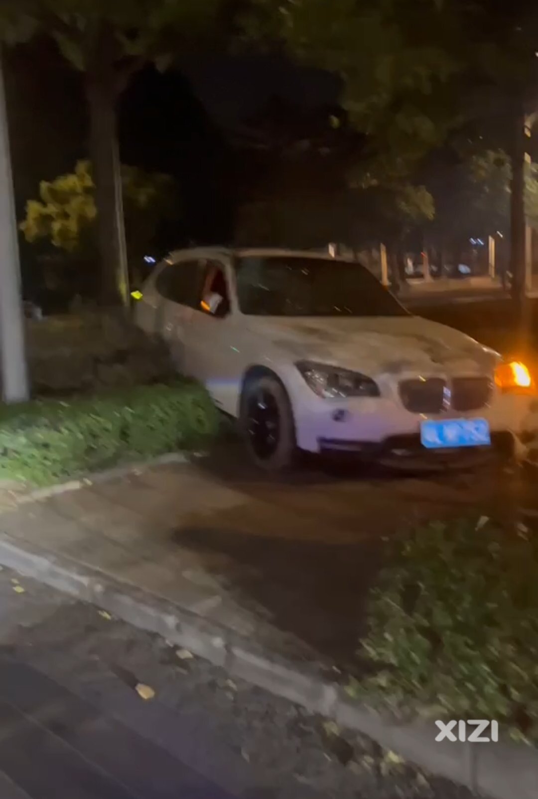 突发，四点半隆生九区，宝马撞大树