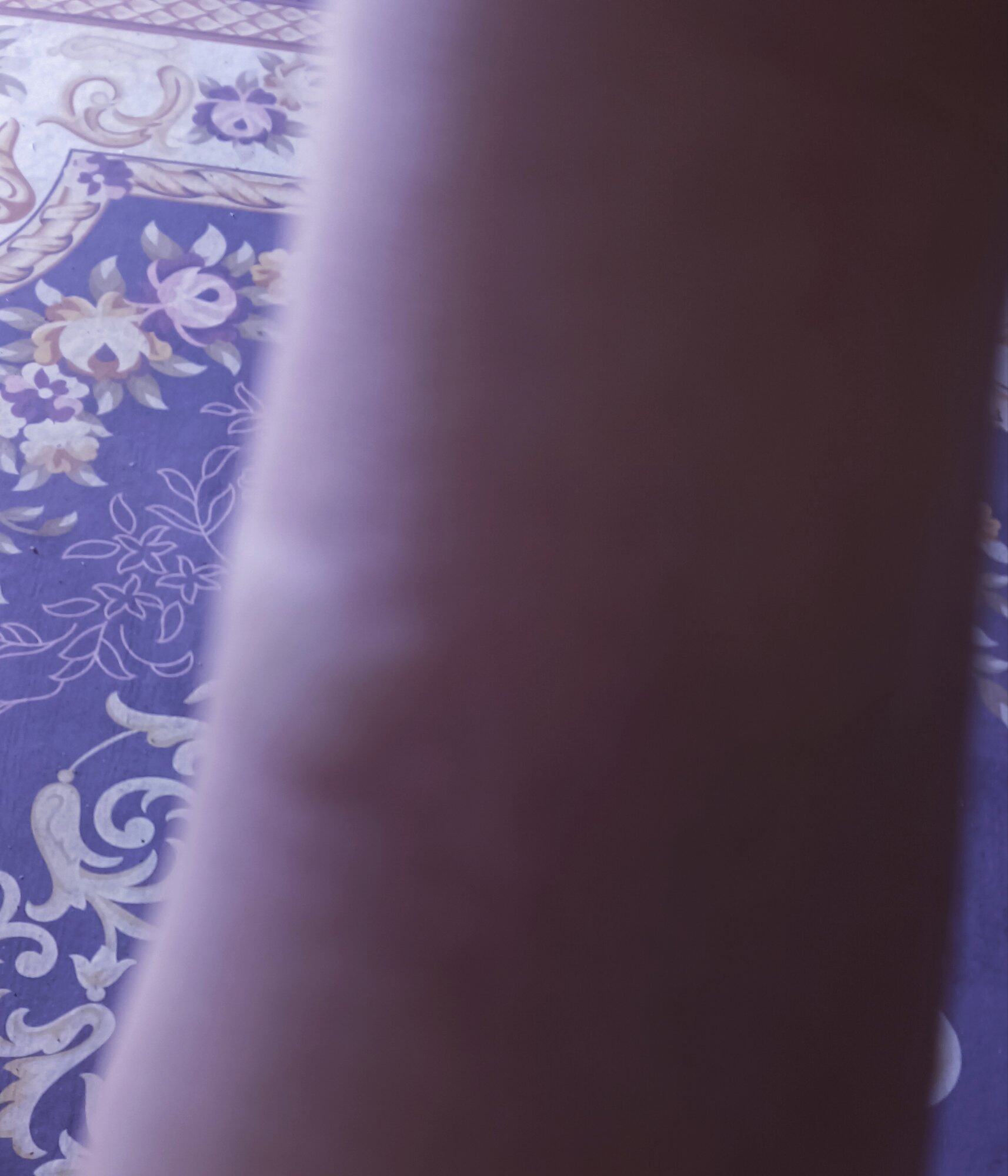 刚才去种花[大哭]捅了蚂蚁