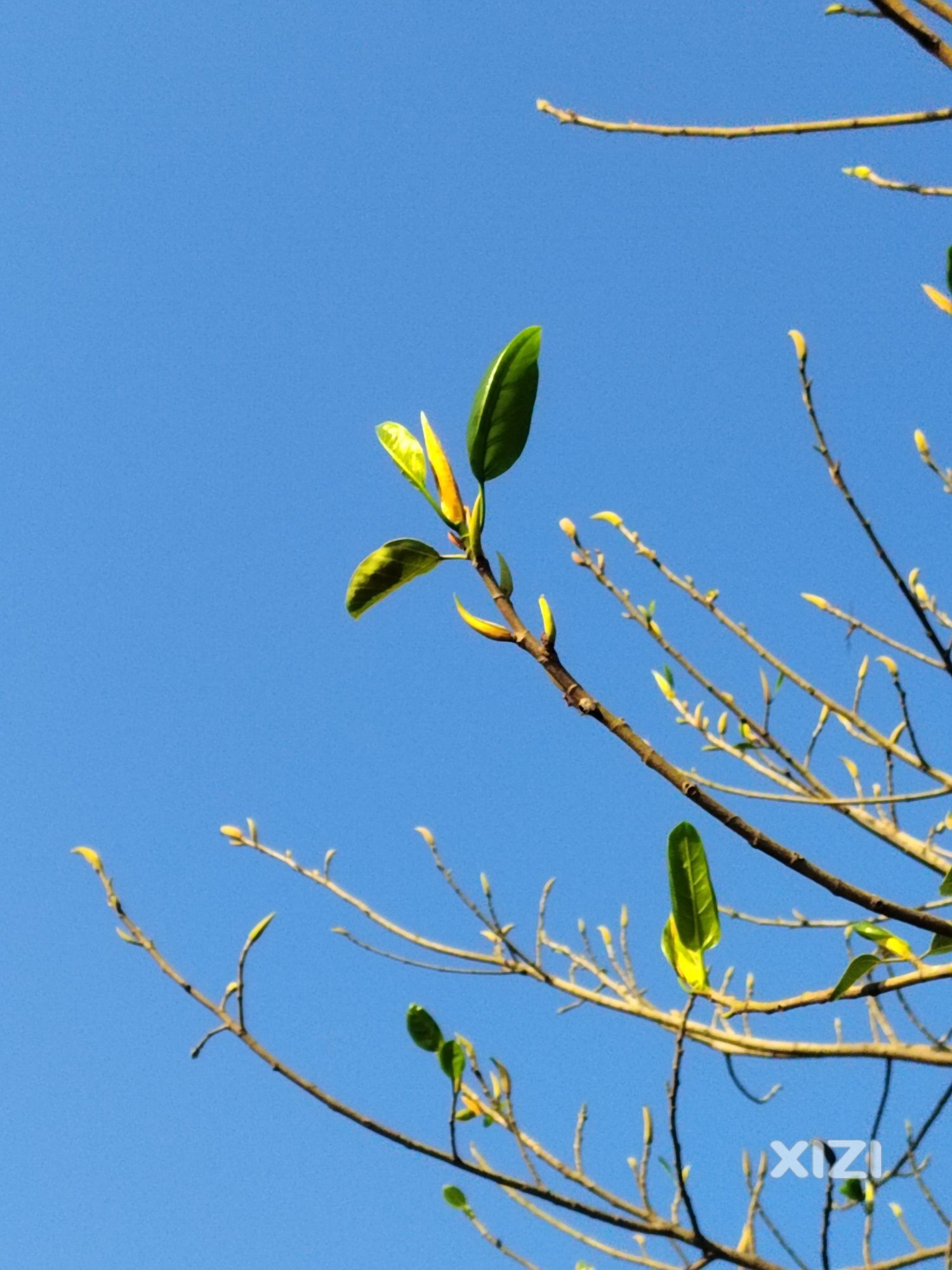 你们的冬天是咋样的~