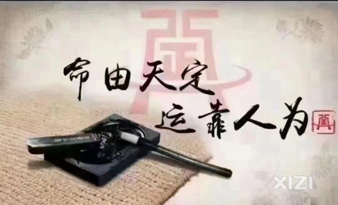 一个号码就是一条人生