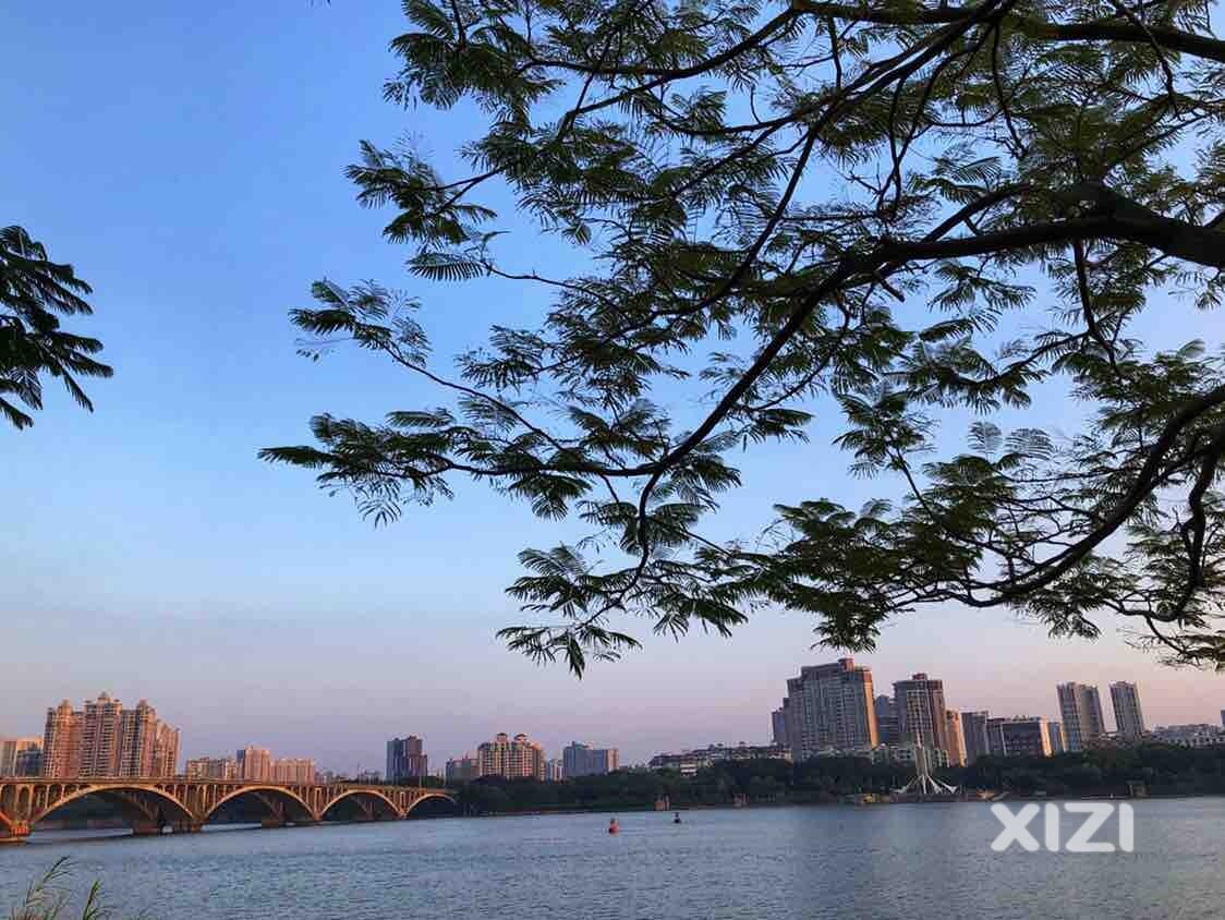 黄昏的东江公园