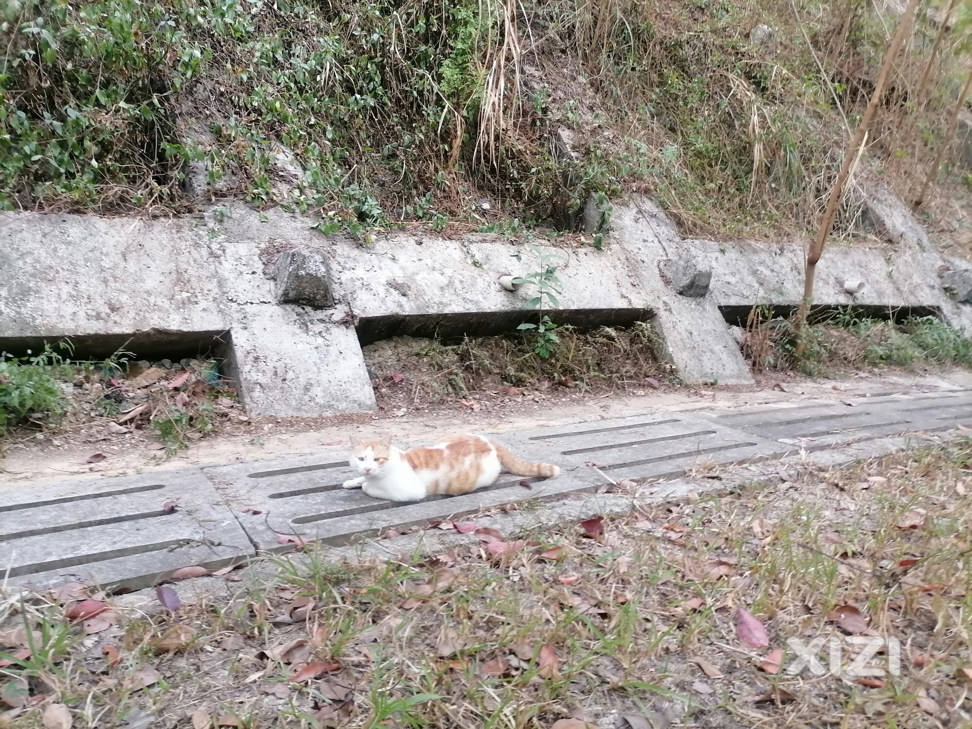 红花湖偶遇