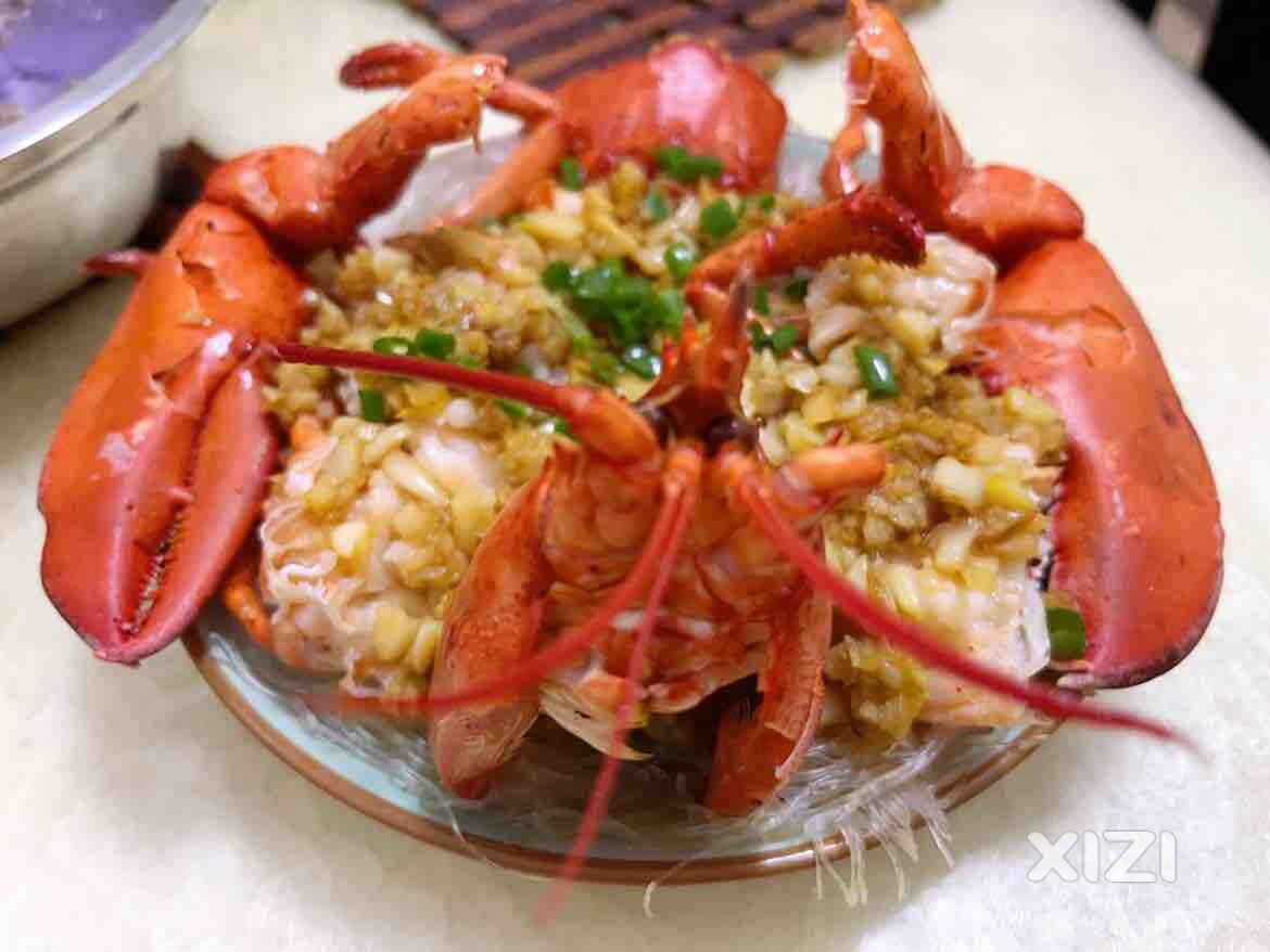 被投喂的那些年