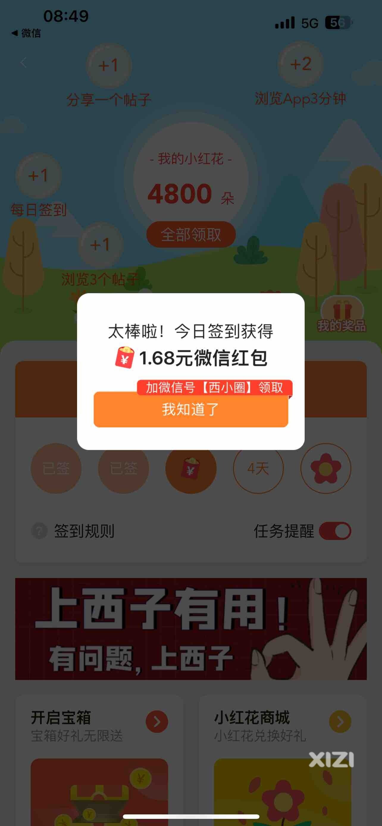 你好，12月！
