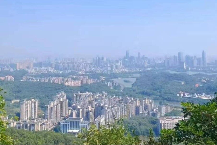 再见吧，万州
