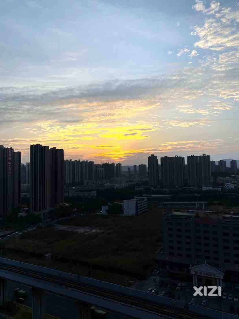 狗在摸铃