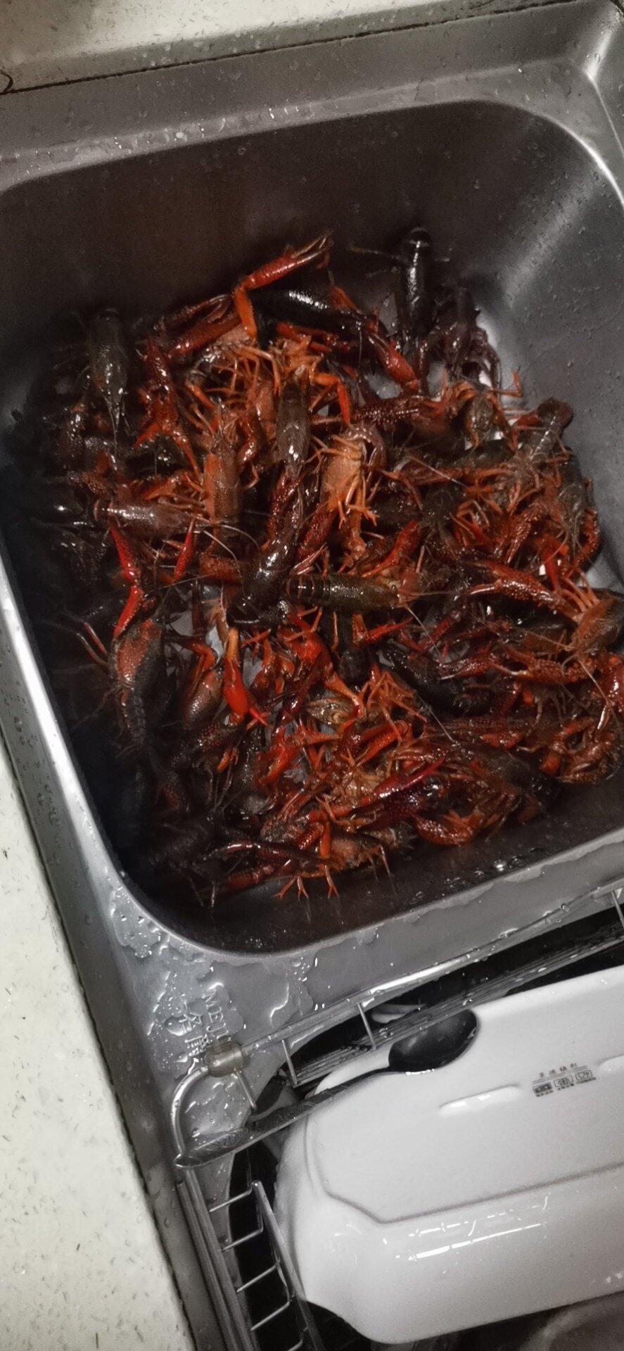 外面的小龙虾不知道是