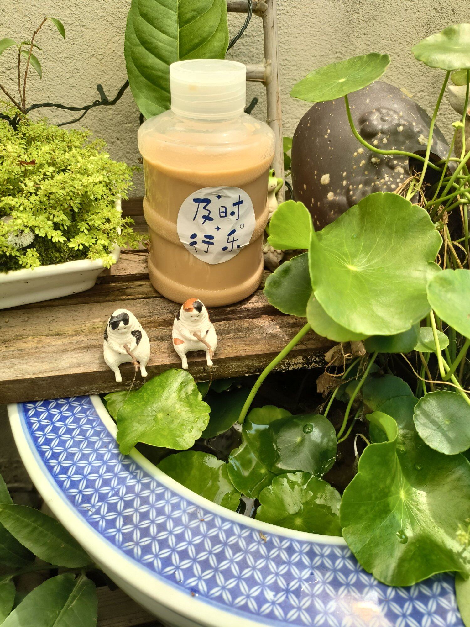 夏天的快乐