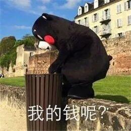 不追女孩，不泡妞，手机代替女朋友