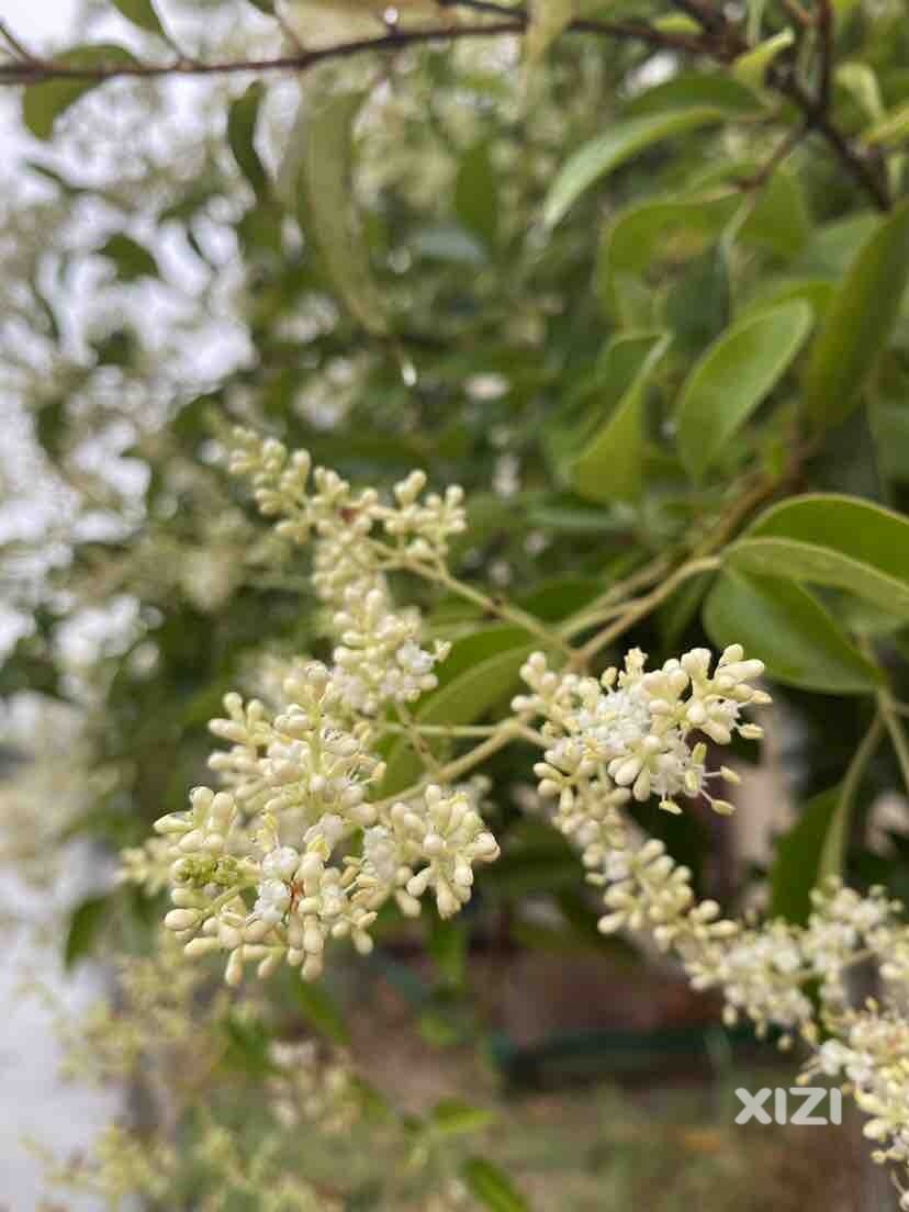 高考天气真好，下雨