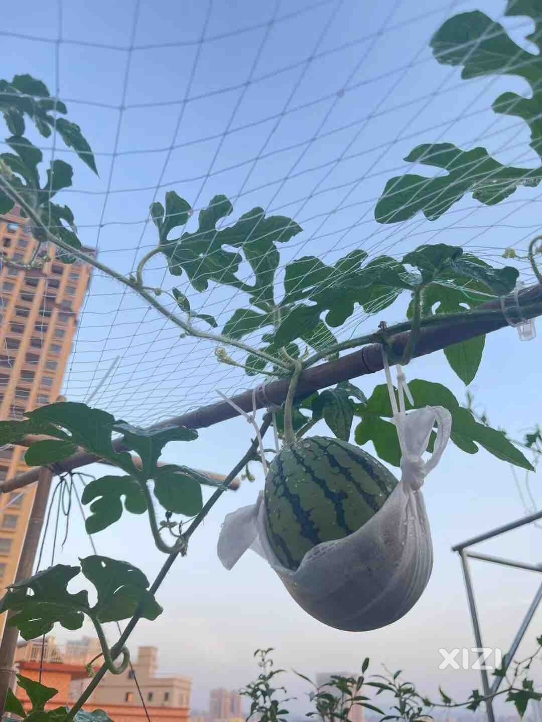 高考加油