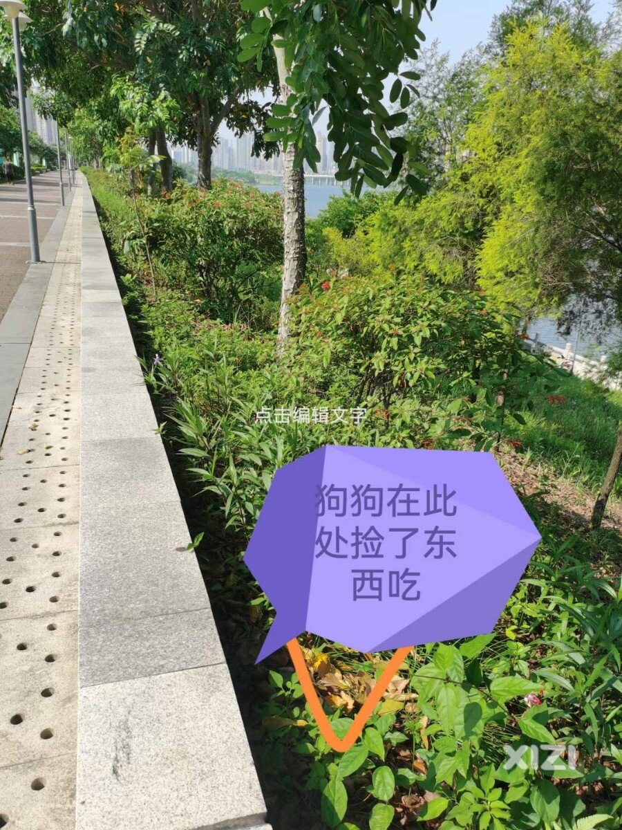 惨无人道！！花香沁园公园及西枝江边大坝投毒致狗狗死亡