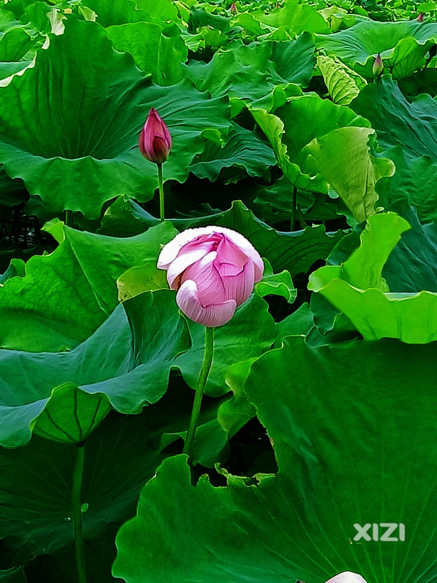 今日所见
