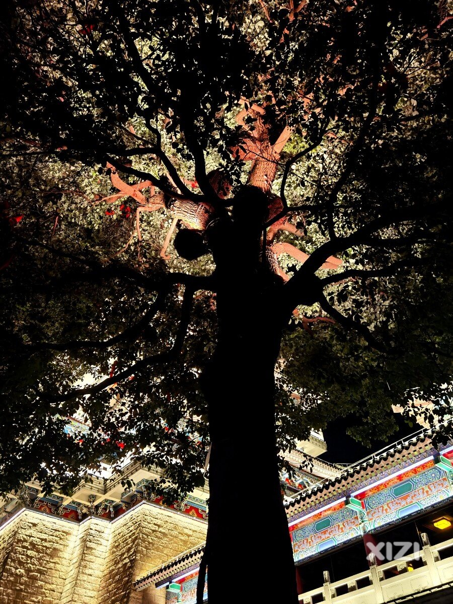 你知道从高榜山山脚到山顶一共有多少级阶梯吗？