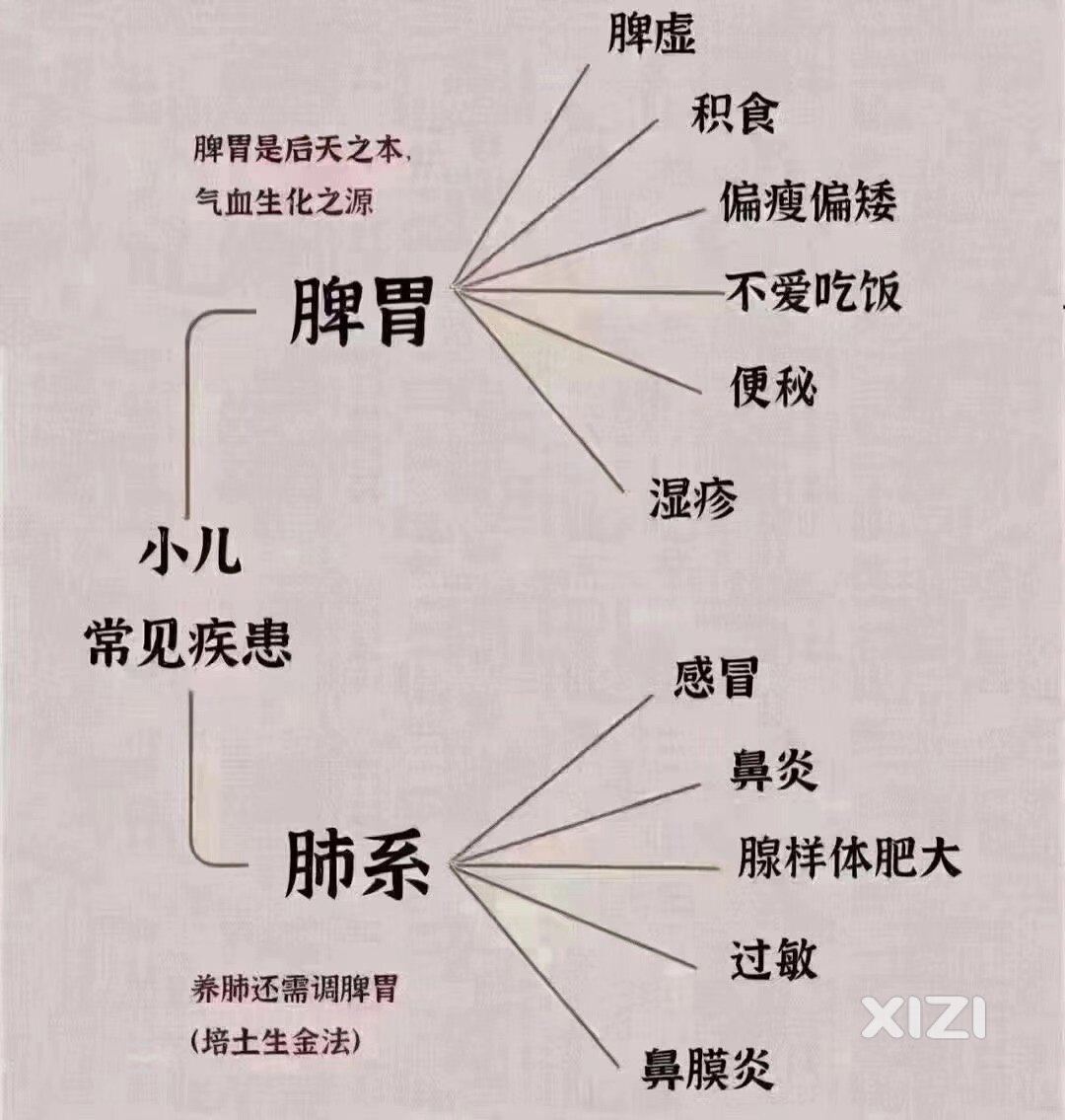 小儿调理科普