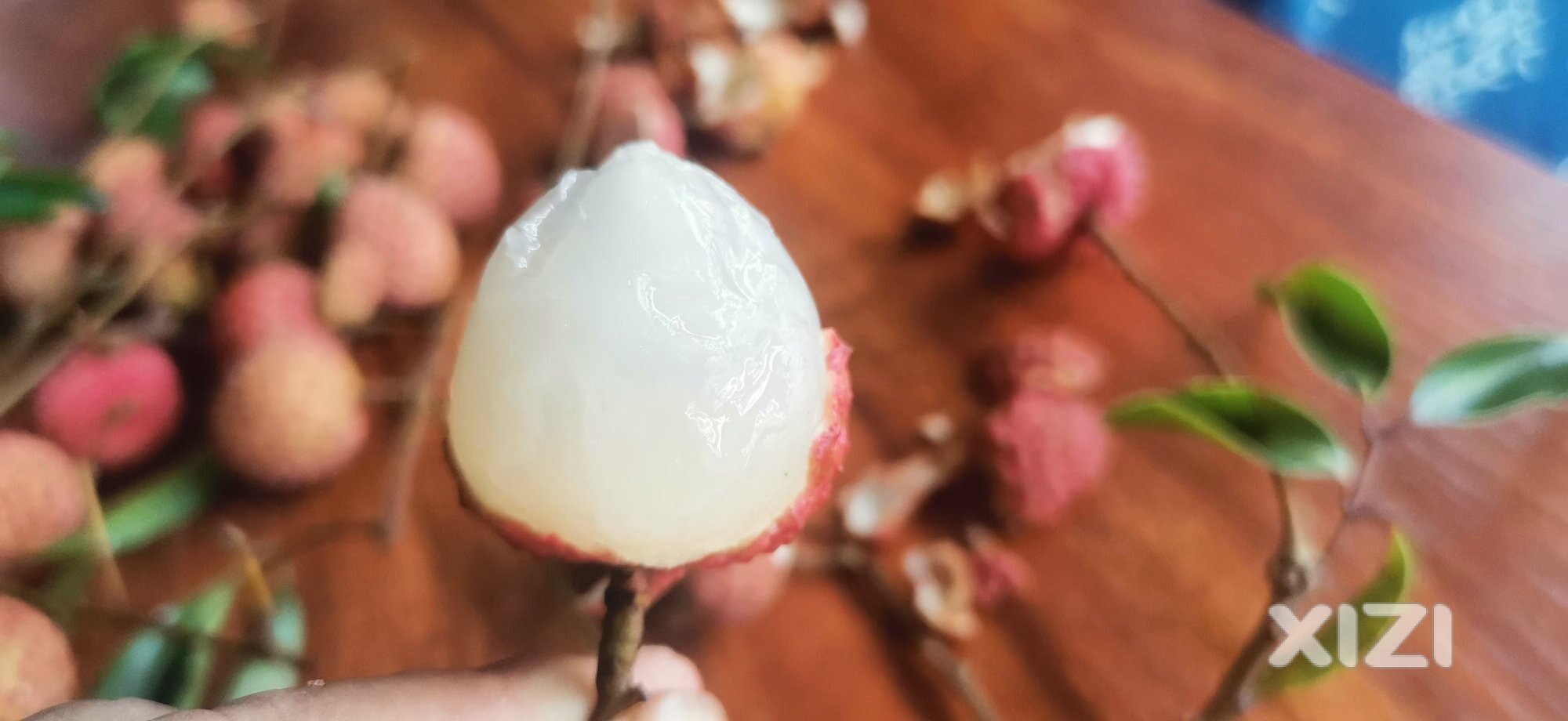 做农民赚钱难！外面荔枝贵，自己家好又便，都是快递和主播赚钱！