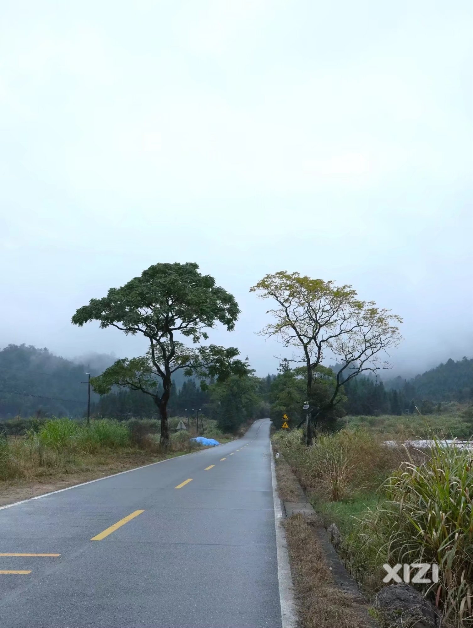 醉美乡村国道