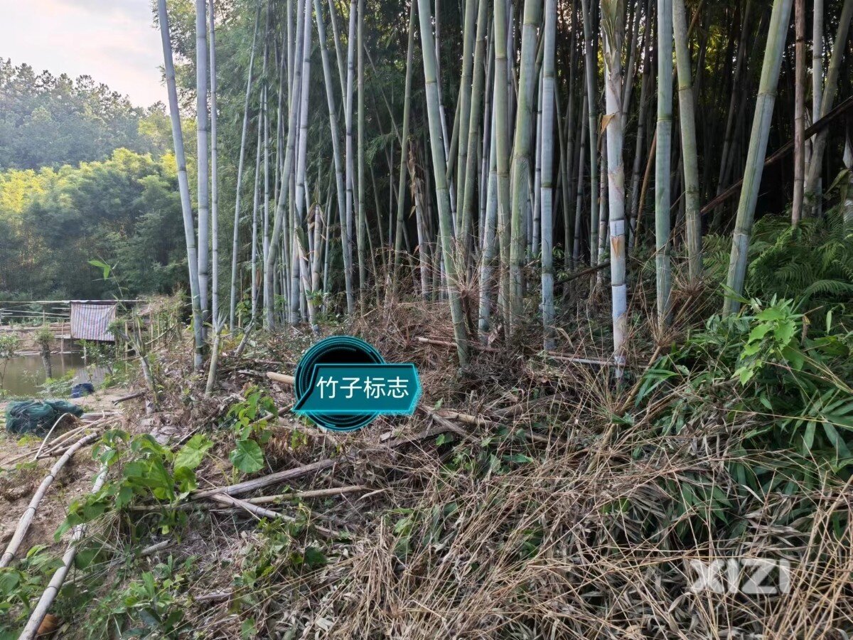 芦岚小组长，为官不作为？