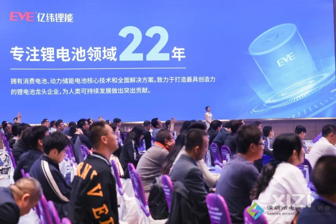 亿纬锂能中央研究院赵瑞瑞博士分享锂硫电池最新研究成果