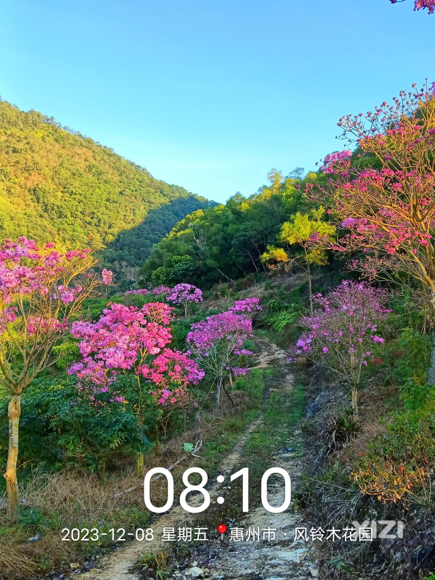 昨日重现