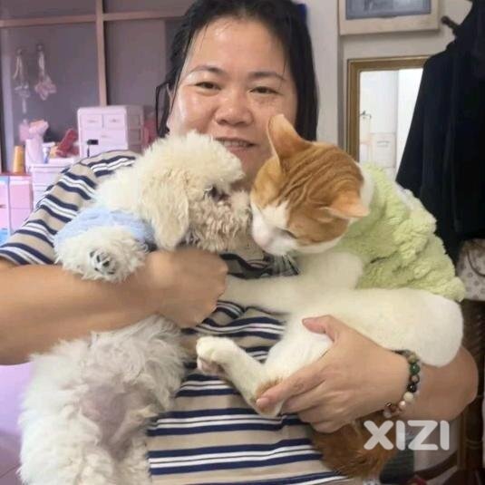 生命诚可待，猫狗一家