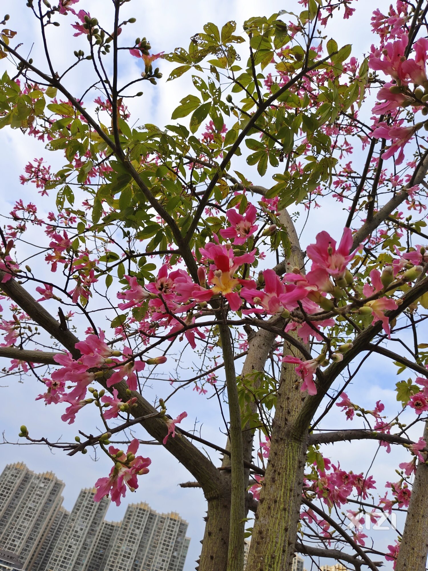 宅家里太久需要呼吸新