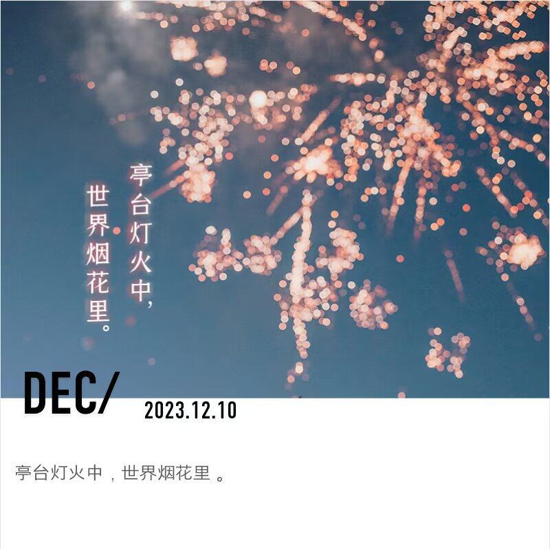 有计划的孩子