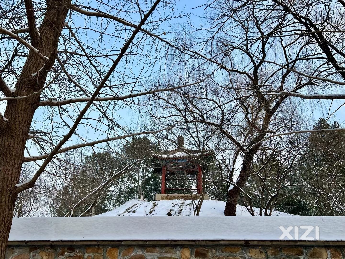 祖国的大雪来了，大家会去看看雪吗？