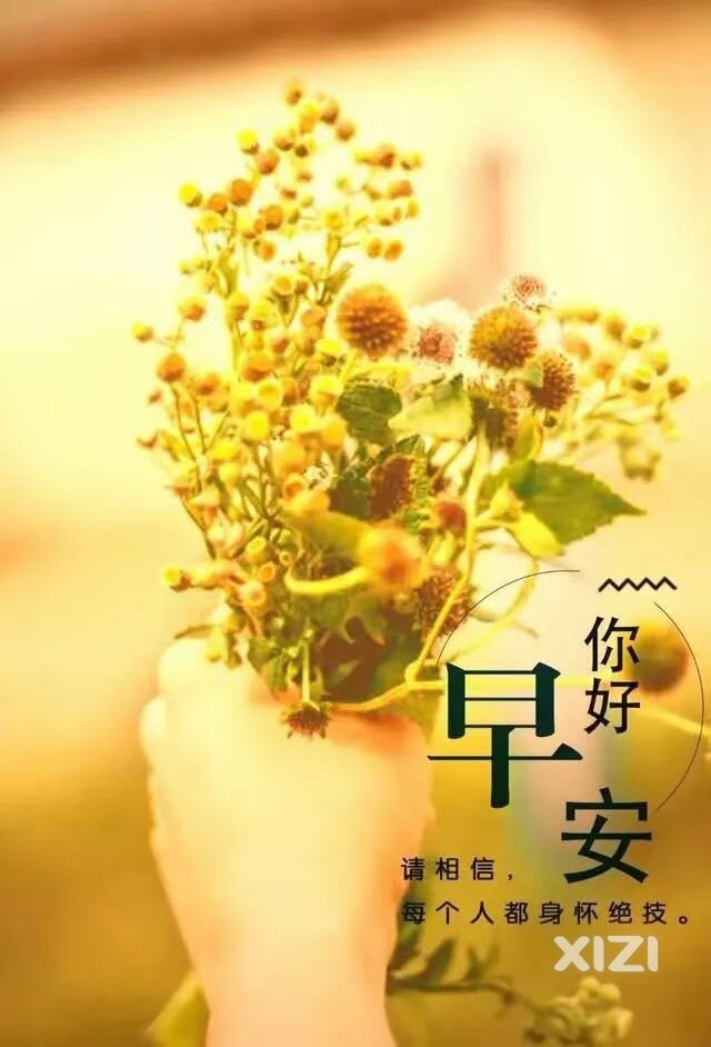 愿每一个醒来的日子，