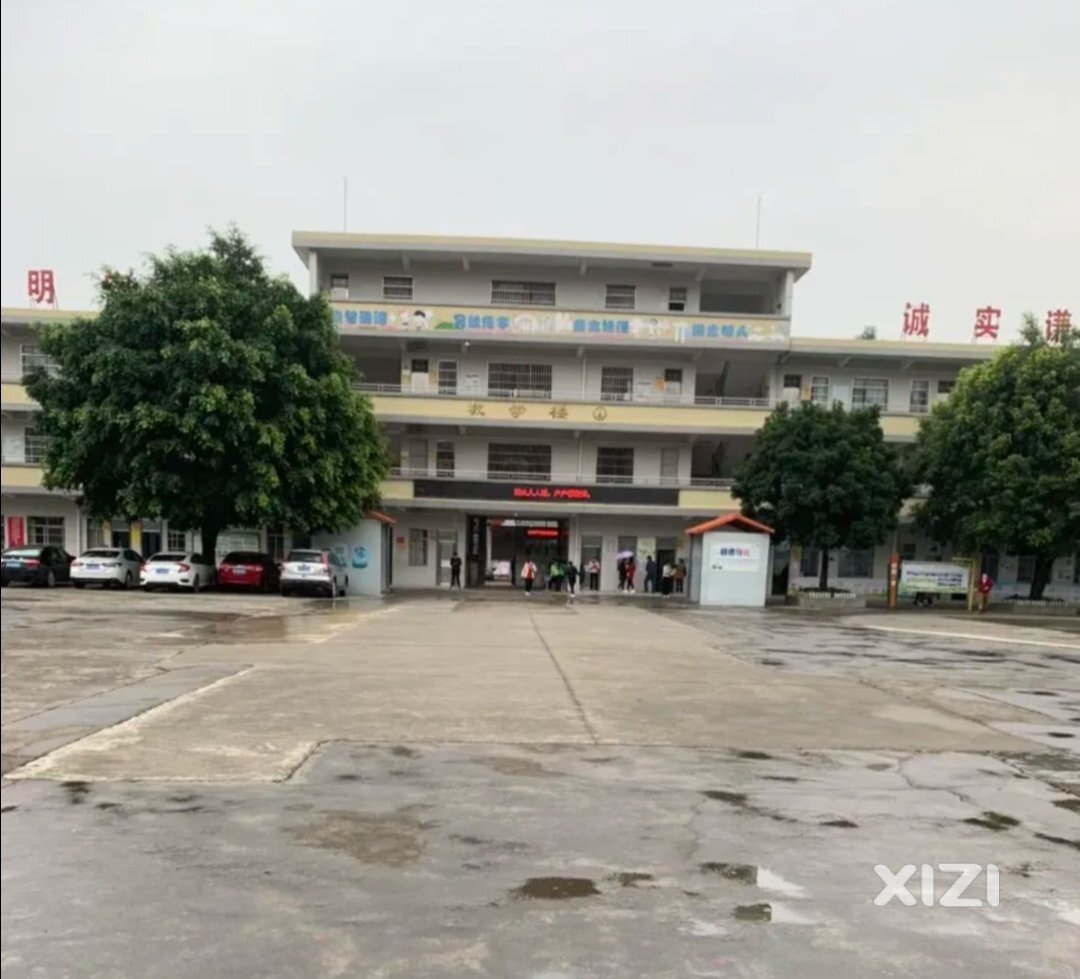 万能的西柚们，这是哪所学校？