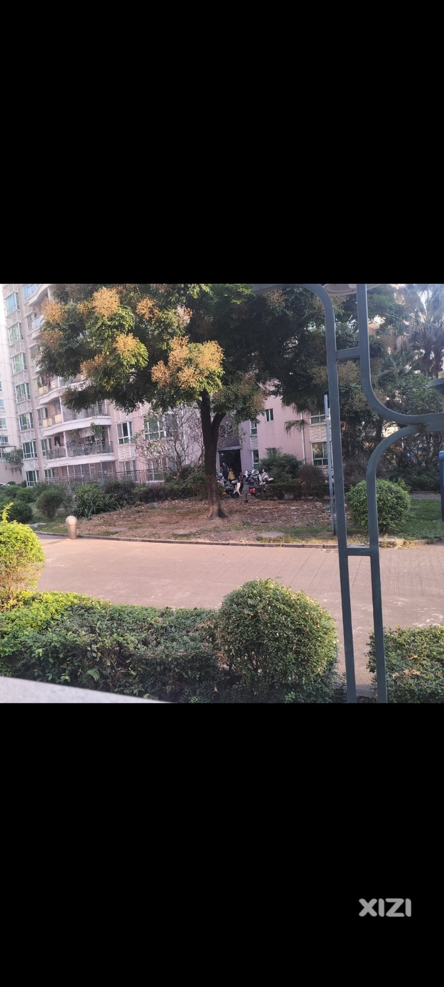 举报！金辉新苑南旭物业违规建设电动车充电棚！@龙丰街道办