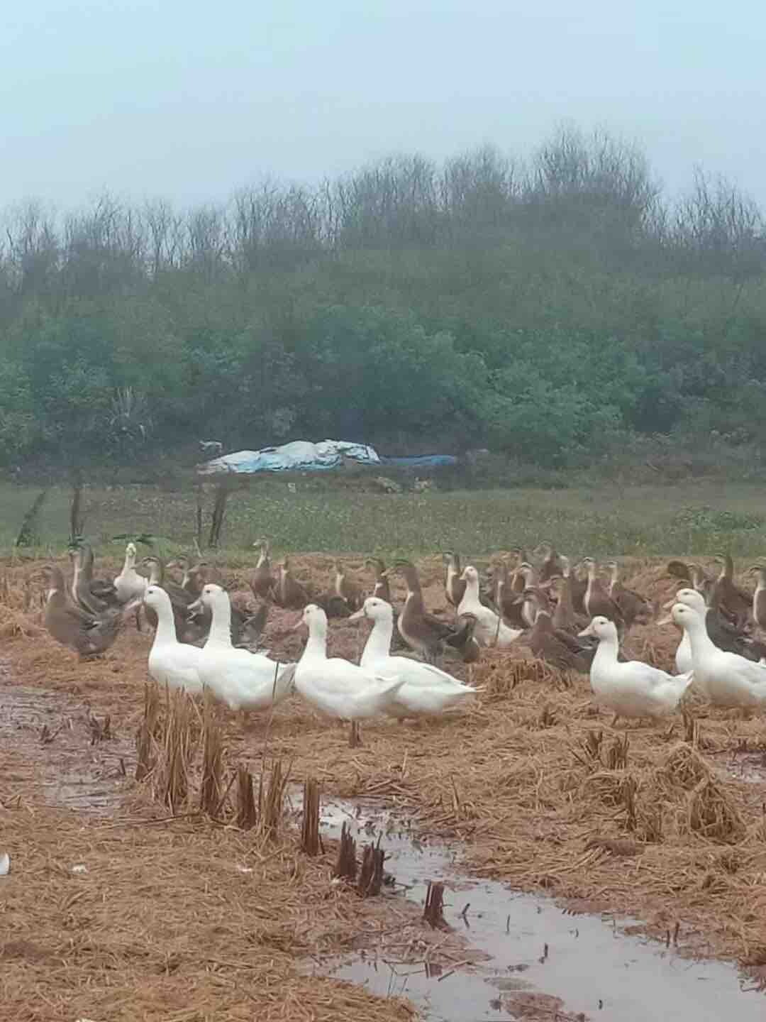 好冷