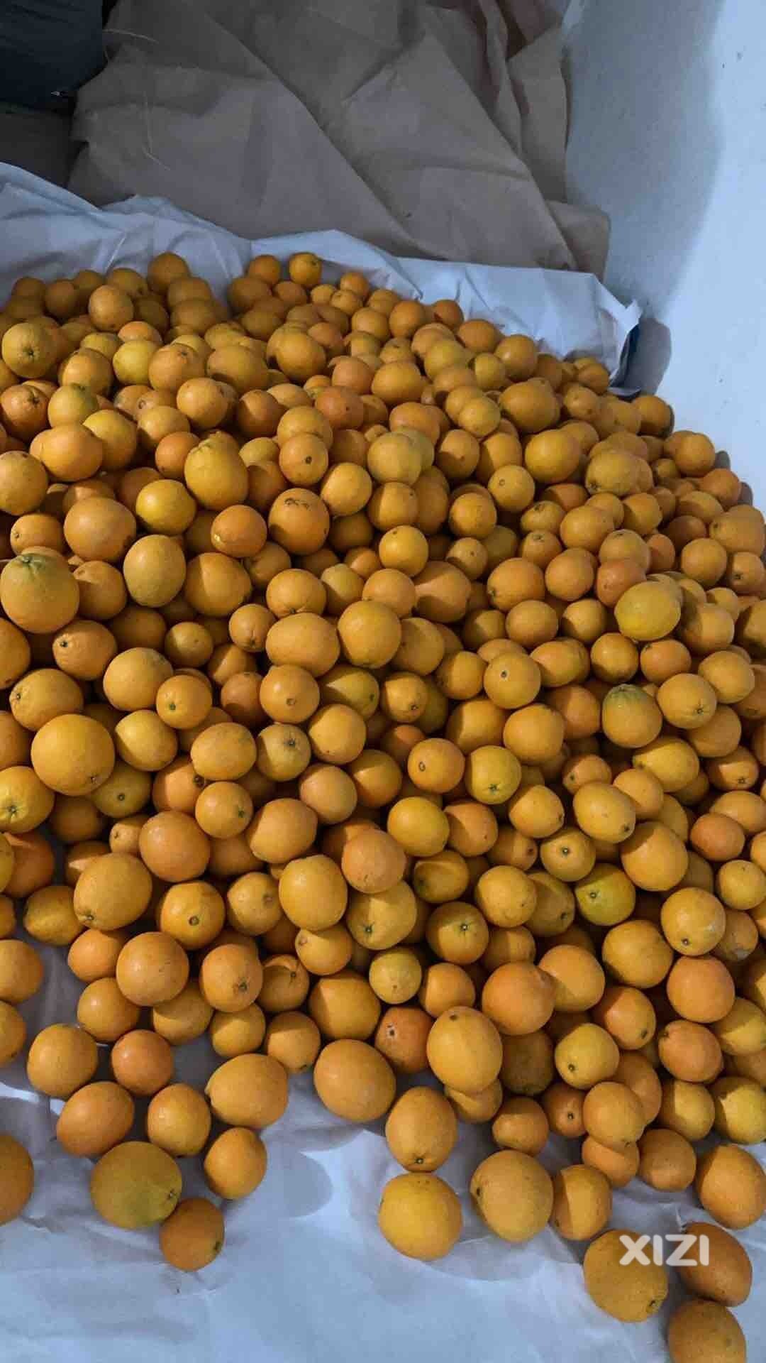 太卷了，抽空回江西老