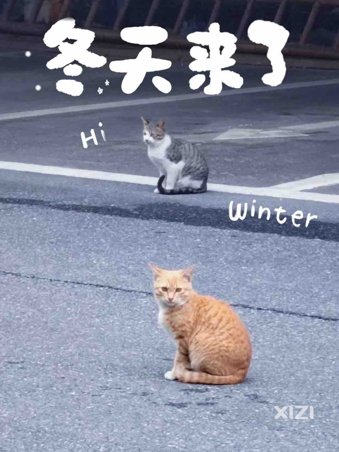 那些院外的呢？