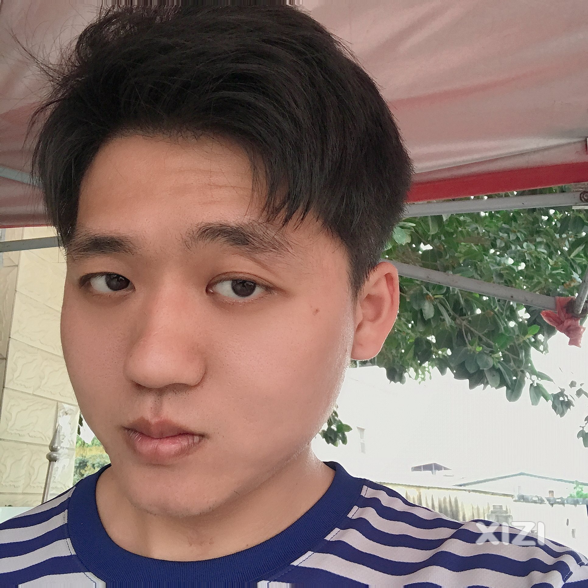好像玩西子那么久一直没有把真正目的展开出来过