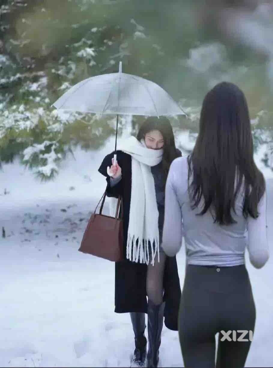 今日＂冬至＂