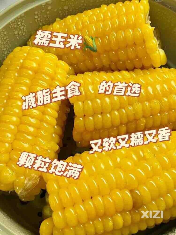 减肥餐？
