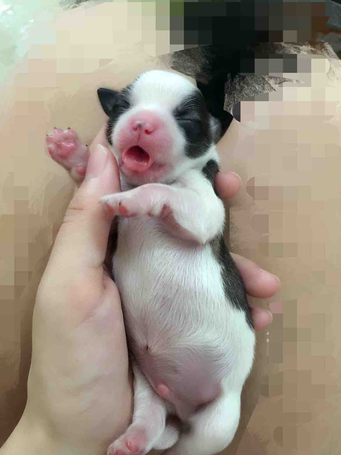 没意思