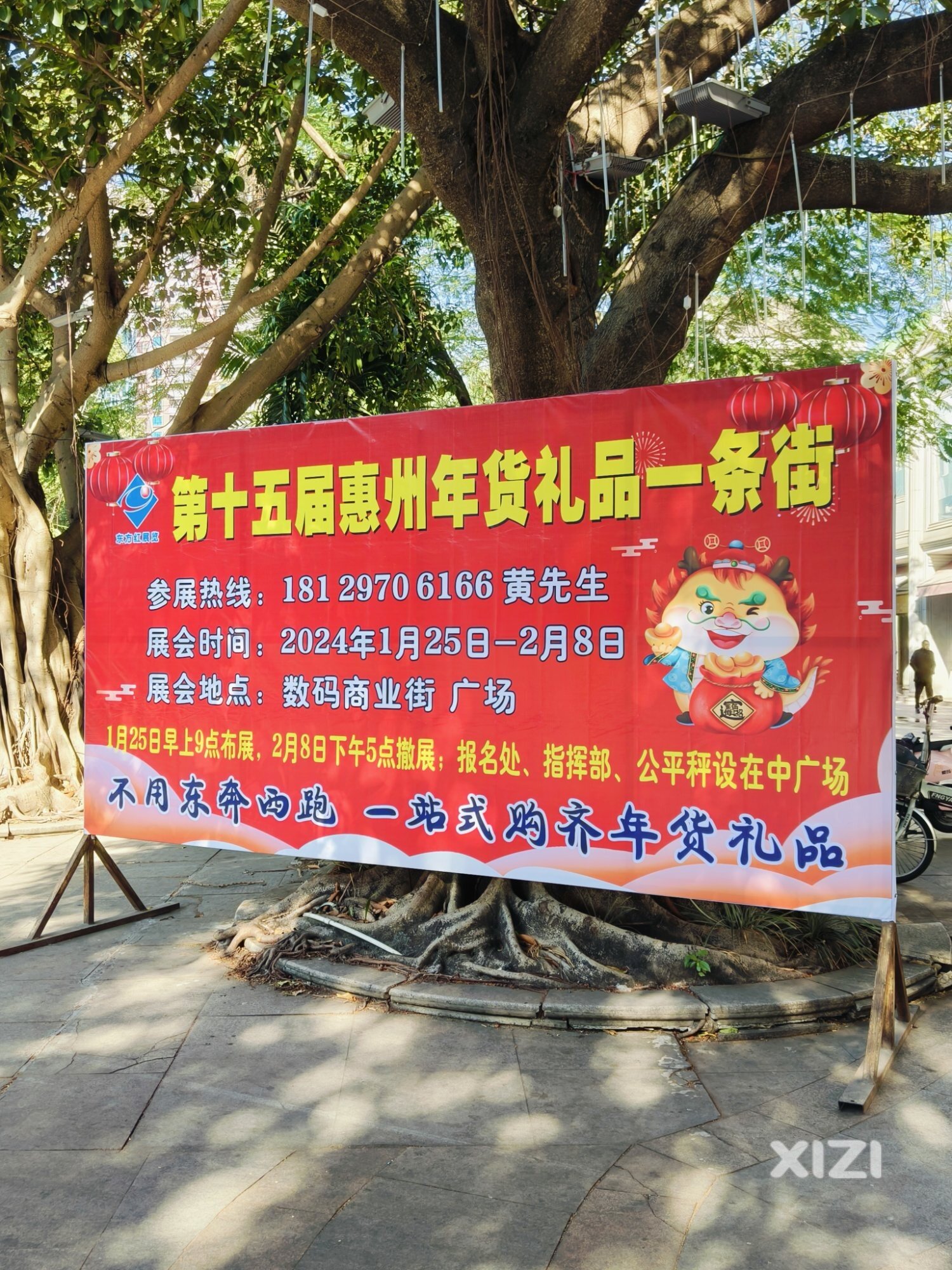 数码街又准备有年货一条街了。