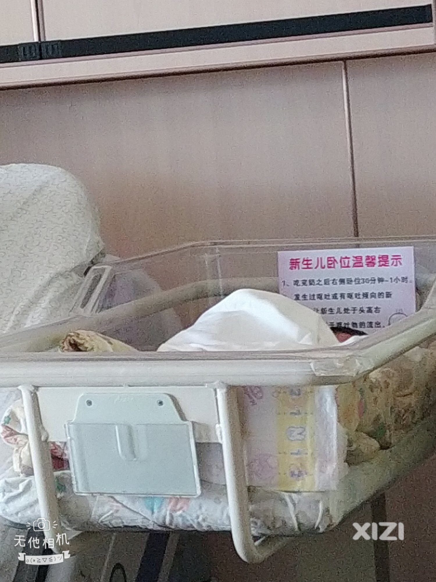 2023年最后带的小兔宝
