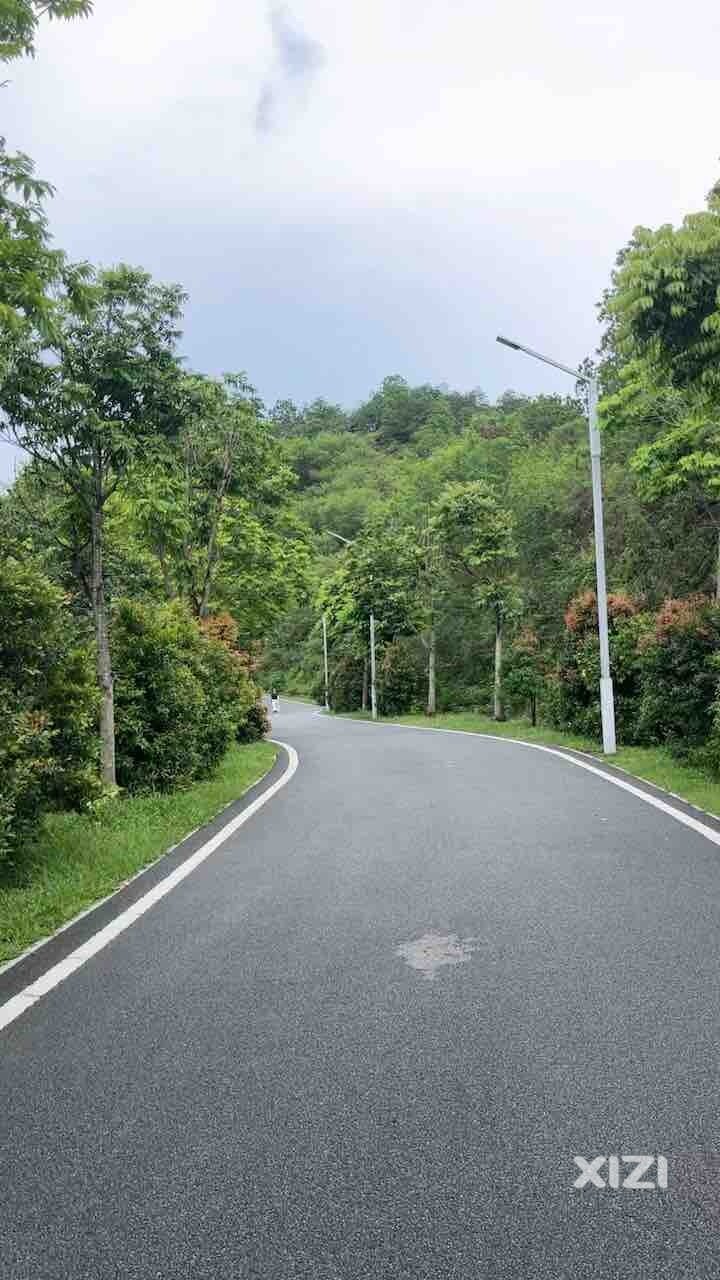 今晚专门沿着红花湖内