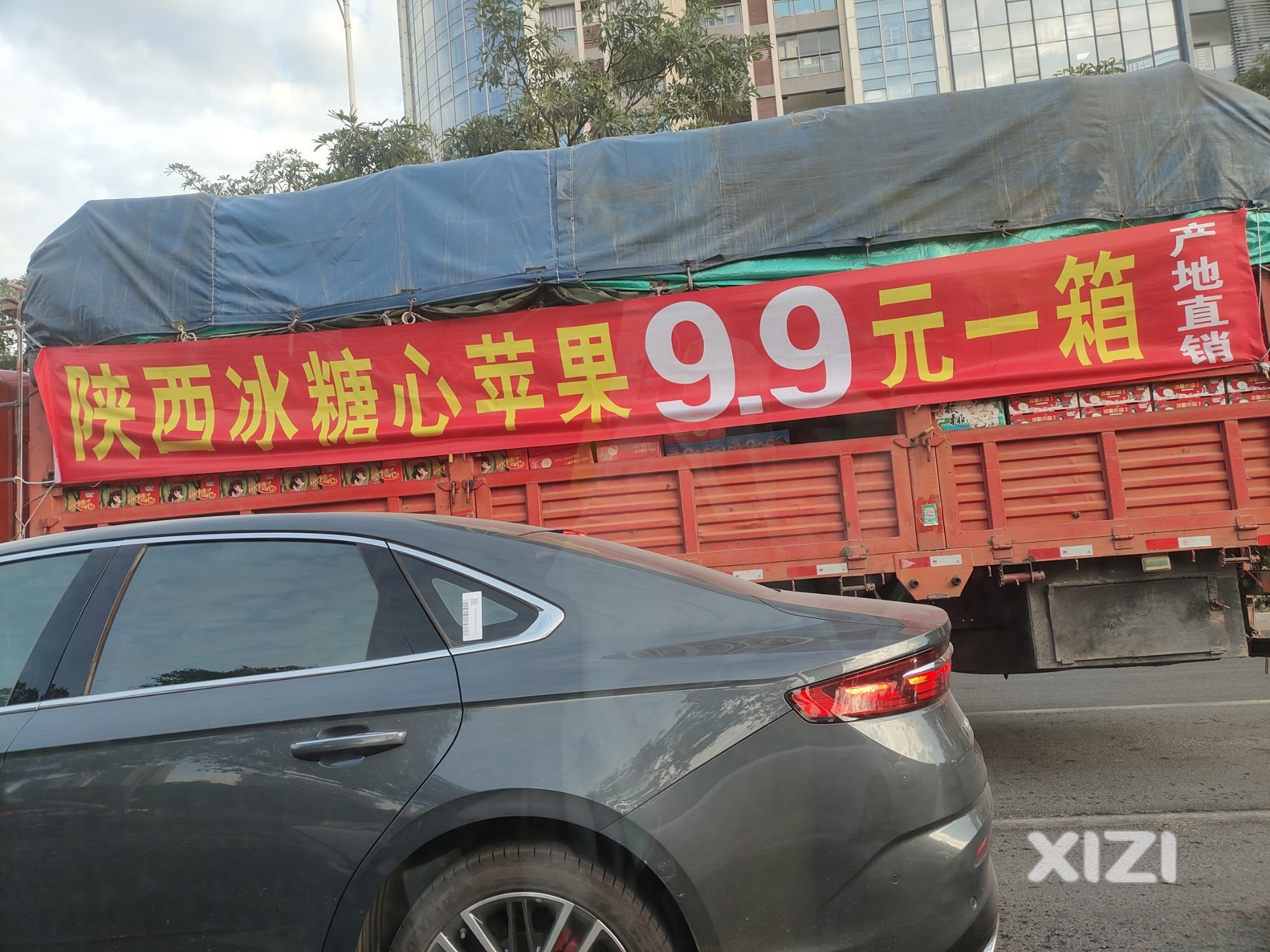 陕西冰糖心苹果是真的才卖9.9元一箱吗？