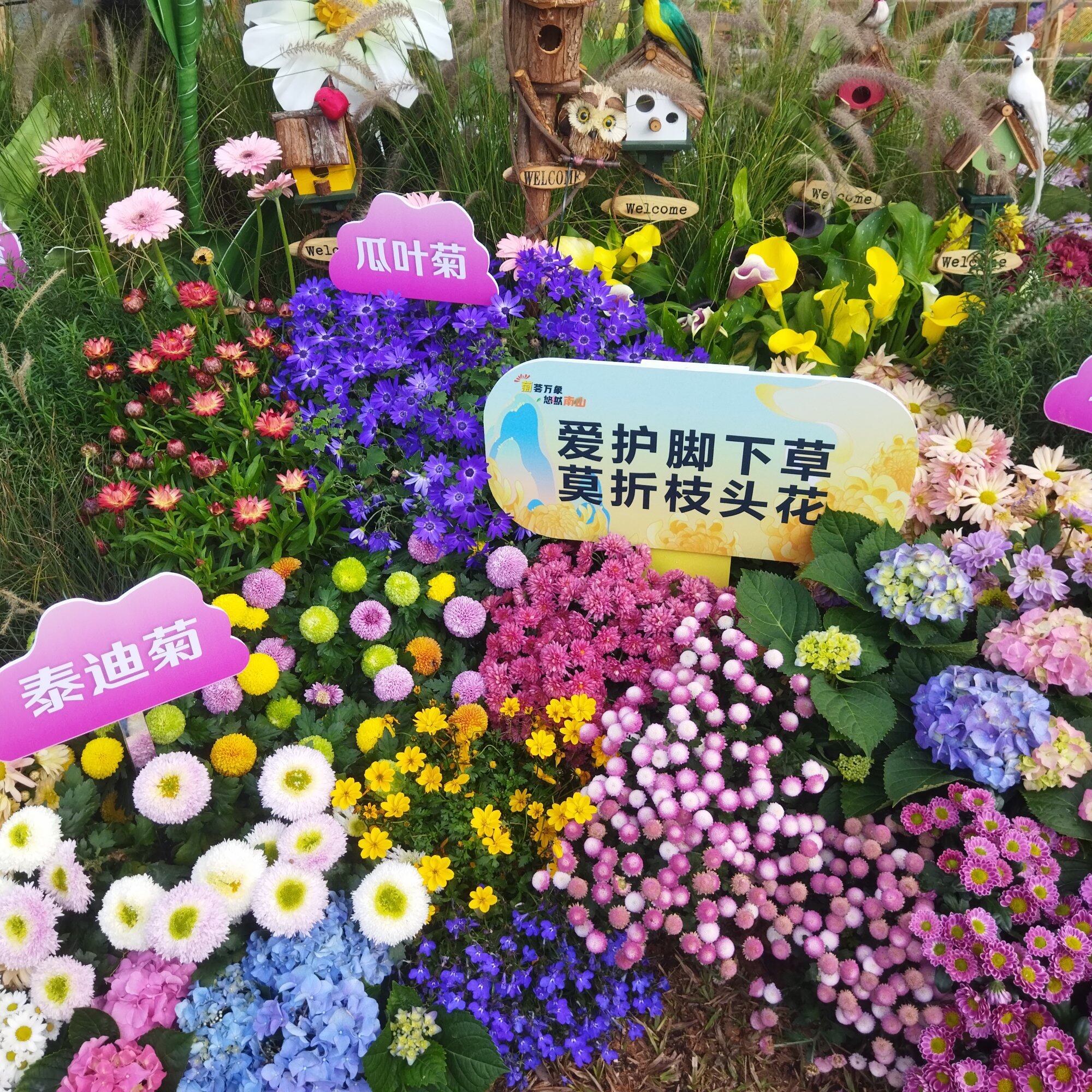 吊儿郎当的人生