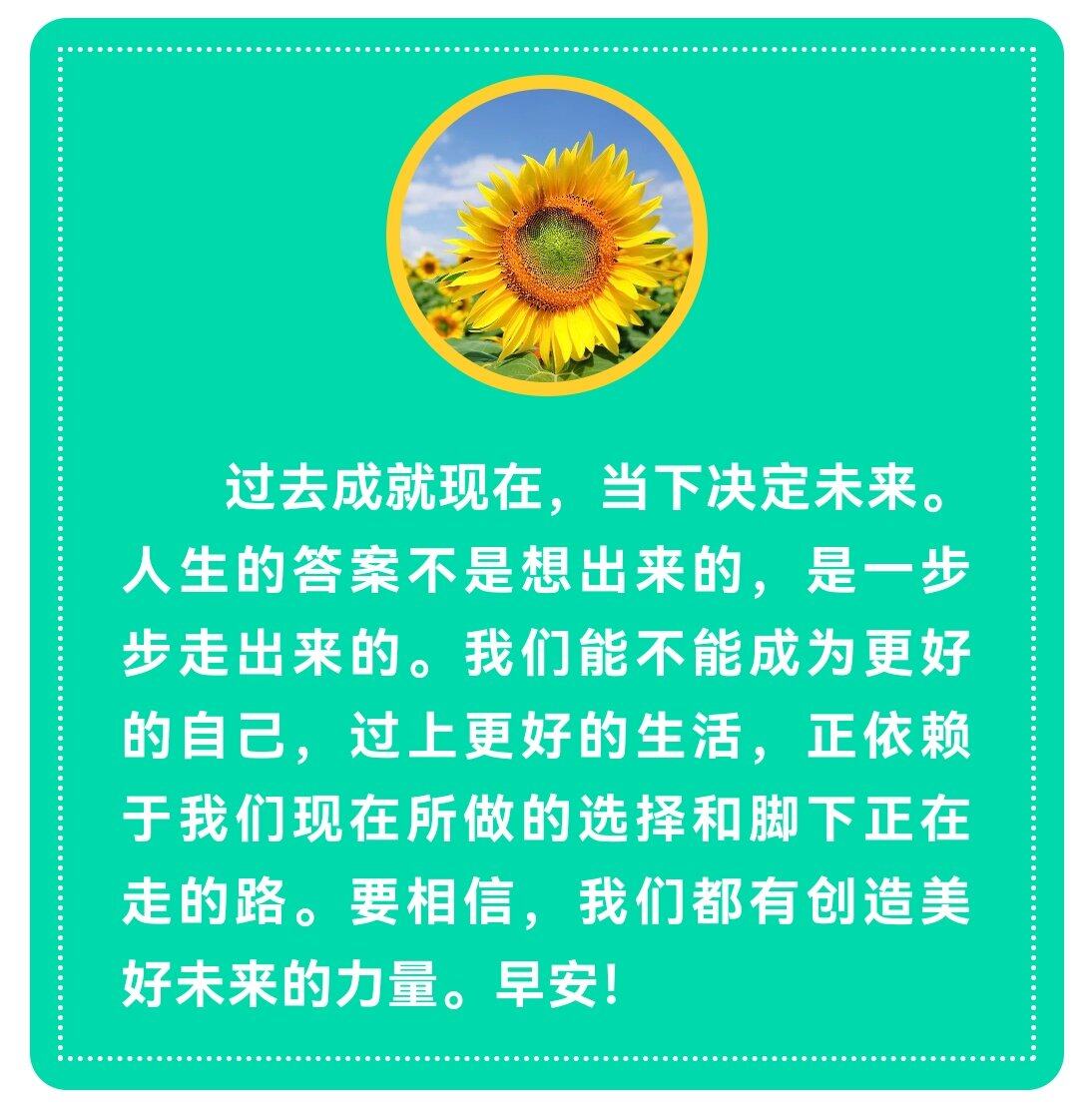 所有的偶然都是必然[干杯]