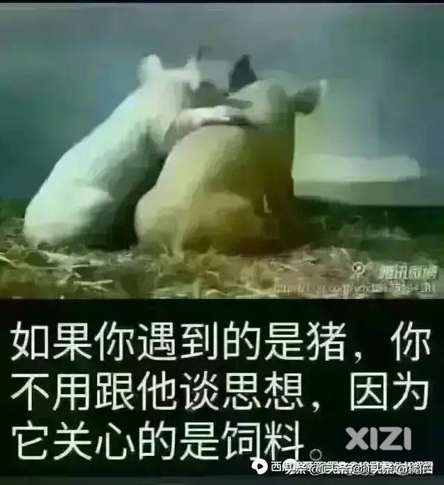 家长到底为孩子做了什么？