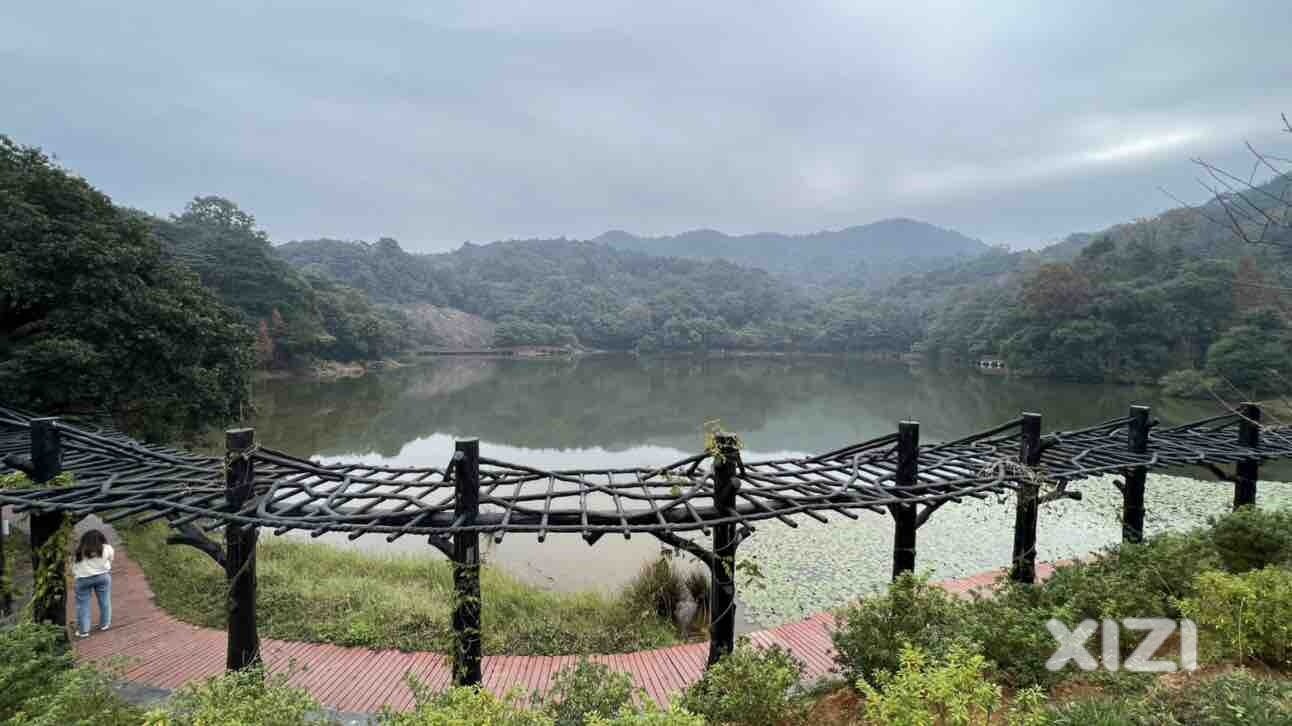 发一些景