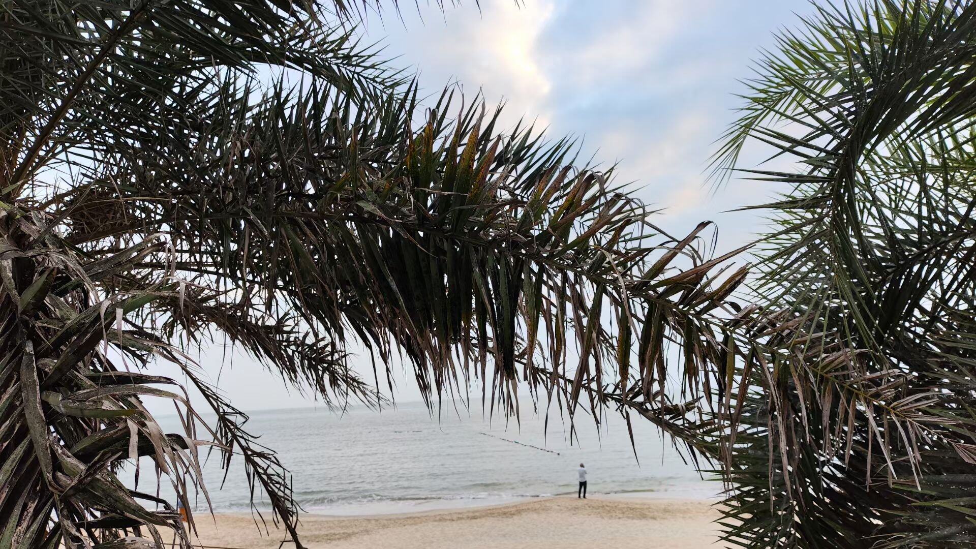 鲘门百安观海