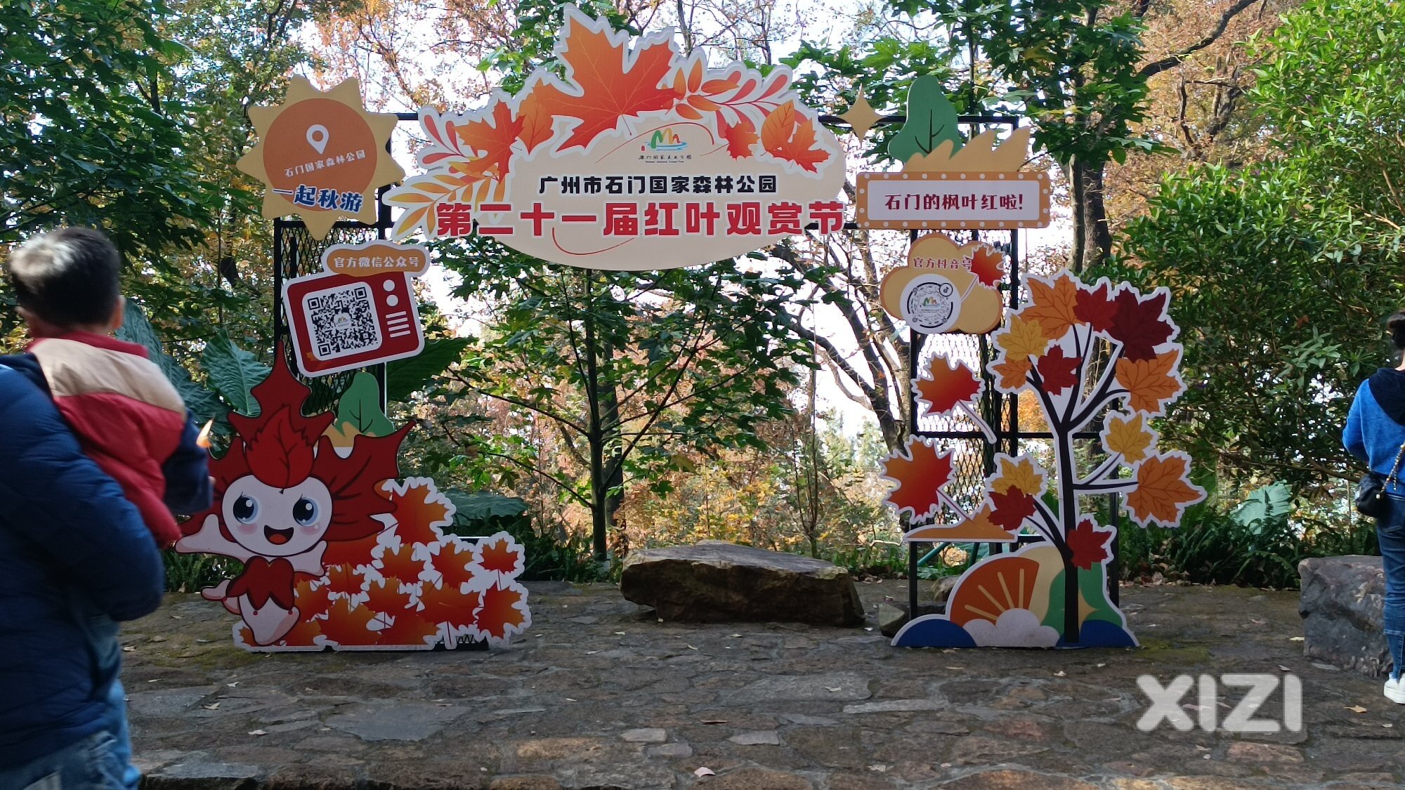第21届红叶观赏节，石门国家森林公园。