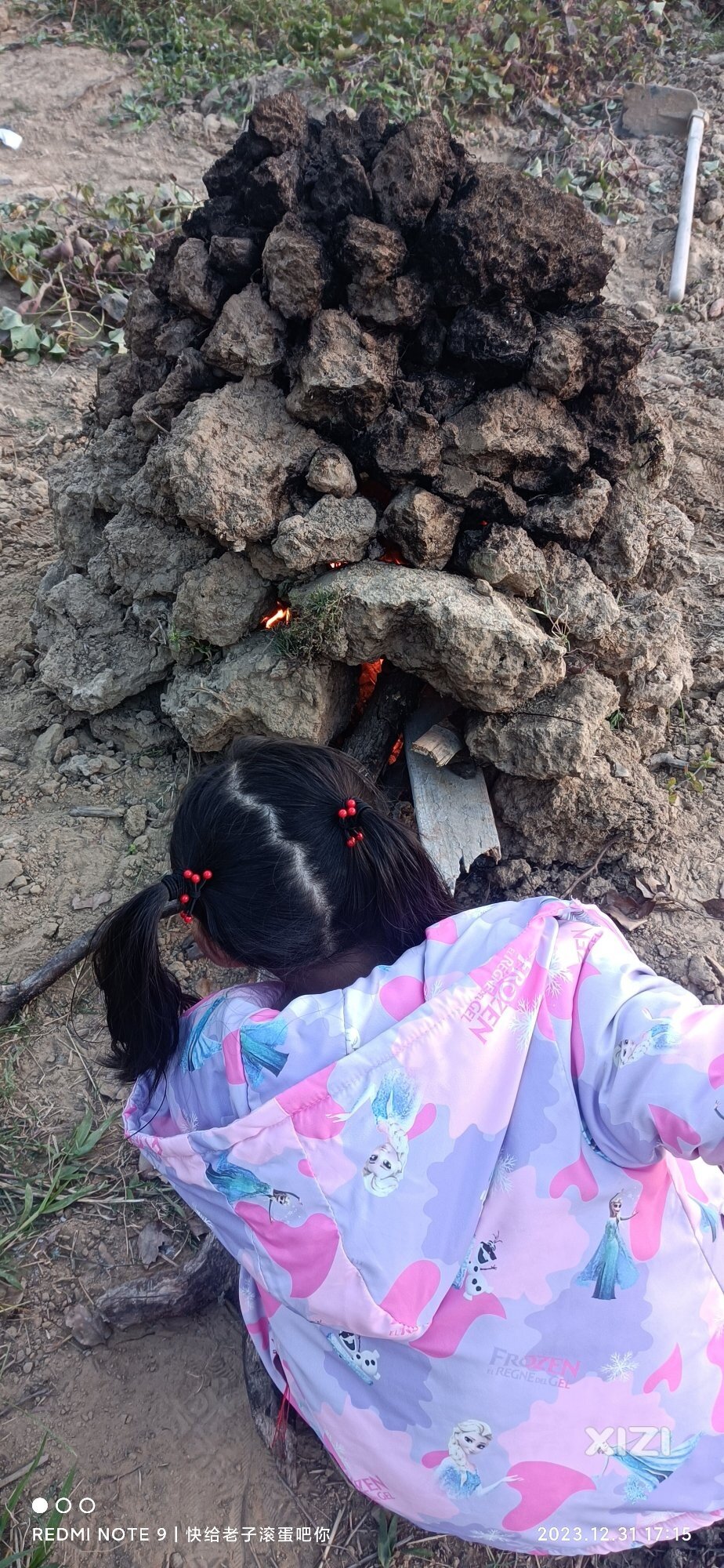 什么是“叫花鸡”？